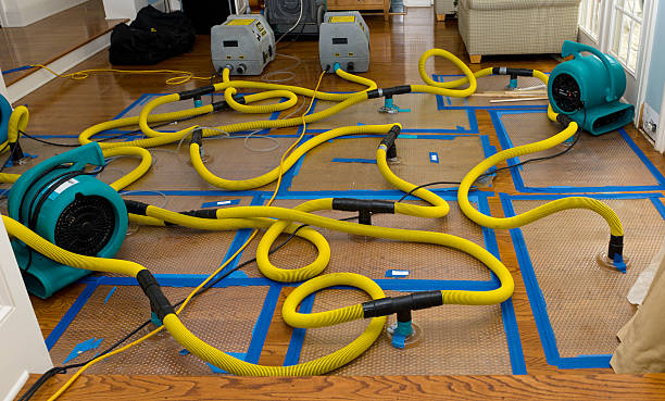 Professional Crawl Space Water Removal technician working in Ellinger, TX